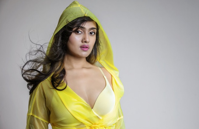 ডিজে সানিকা ফিরছেন অভিনয়ে
